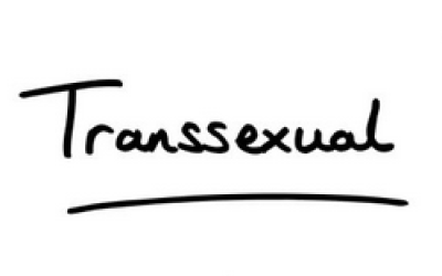 Conceptes bàsics sobre transsexualitat