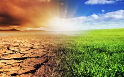 Une déclaration sur le changement climatique et l’éducation