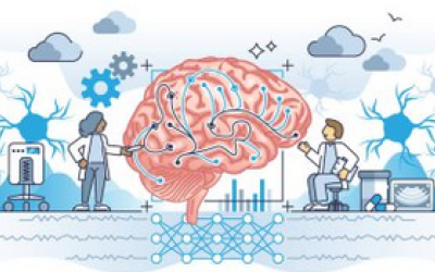 Neurociència per a educadors