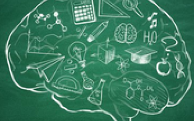 Principis neurodidàctics per a l'aprenentatge