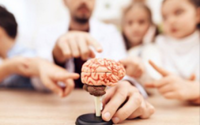 Pedagogies alternatives i pràctiques d’aula en educació infantil: la veu dels docents