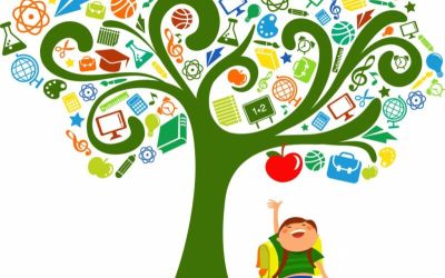 Pautes sobre el Disseny Universal per a l'Aprenentatge (DUA)