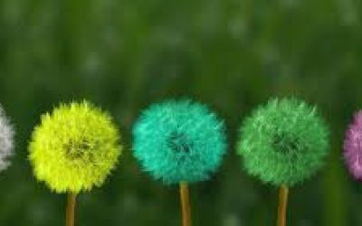 Aprendre a estimar sense prejudicis: eines i materials curriculars per a l'educació afectiva i sexual
