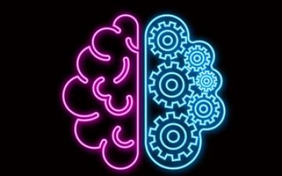 Diseño universal para el aprendizaje y neuroeducación. Una perspectiva desde la ciencia de la mente, cerebro y educación