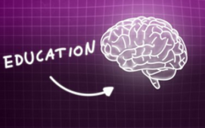 La neuroeducación como herramienta fundamental en las instituciones educativas
