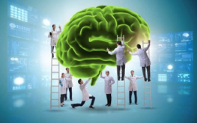 Introduire les neurosciences à l'école primaire