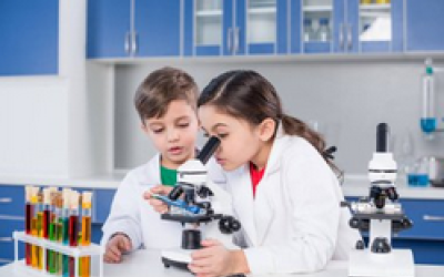 Des stratégies actives et collaboratives à chaque étape de la démarche de vulgarisation scientifique