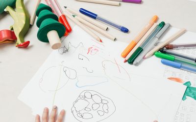 Educació emocional: una proposta per al desenvolupament de competències per a la vida