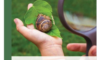 Enseigner les sciences et la technologie à l’école primaire